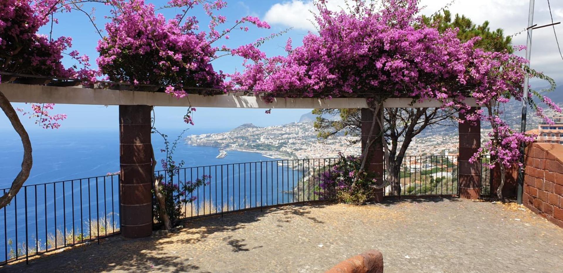 Shearwaters - Sounds Of The Sea Apartment Funchal  Bilik gambar
